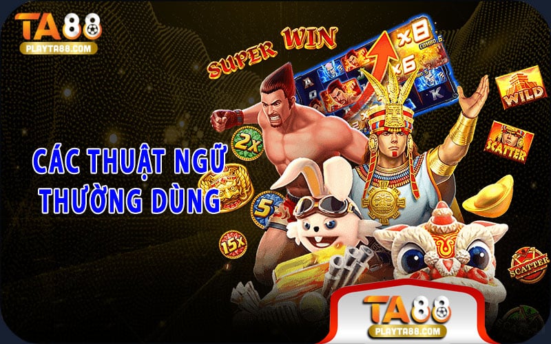 2-cac-thuat-ngu-thuong-dung